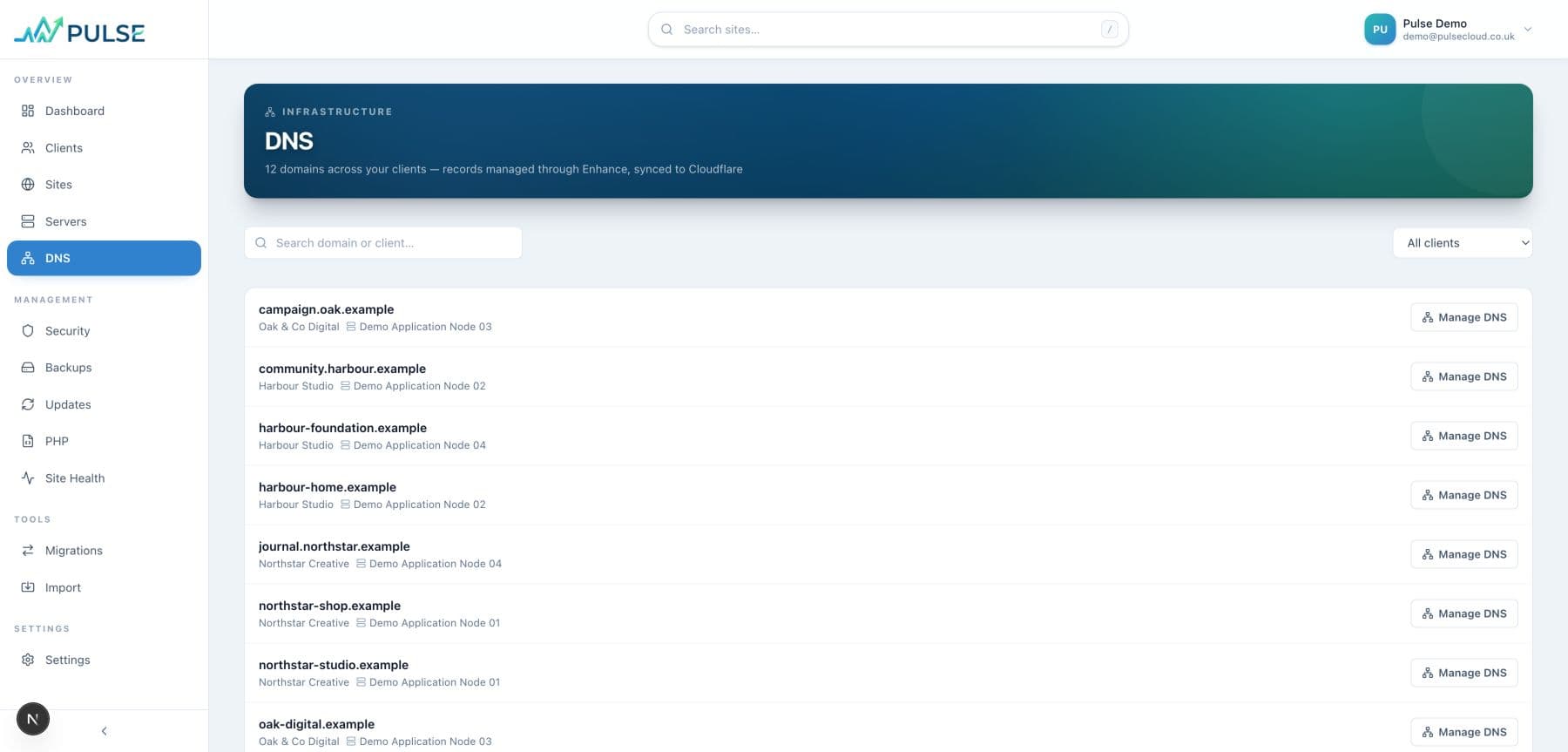 Pulse DNS and routing view using fictional domains