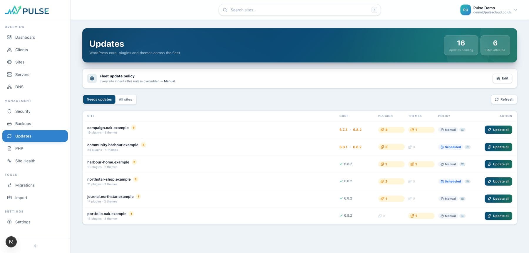 Pulse WordPress update management using fictional demo data